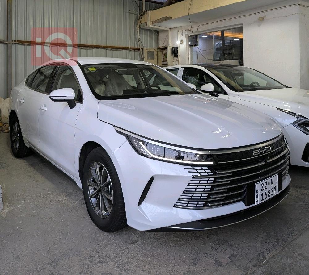 BYD Destroyer 05